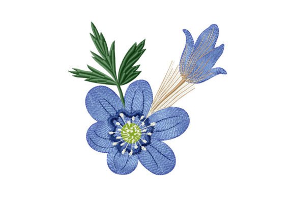 Blue Anemone Flower