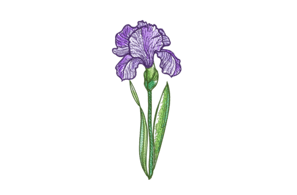 Iris Flower: Elegant & Versatile Embroidery Design